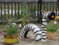 /album/fotogaleria-inicio2/a8-zebra-tire-jpg/